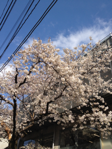 image-20120419004805.png