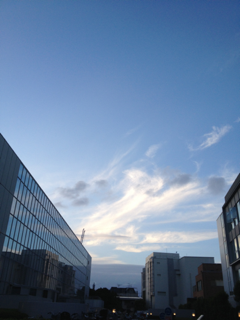 image-20121012094802.png